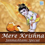 Mere Krishna -Janmashtami Special - Vishnu Sagar Song Download